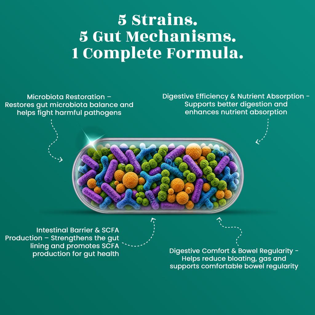 Gut Support Capsules - Advanced Probiotics 85 Billion CFU • Digestive Health • Immunity Support