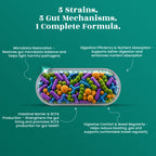 Gut Support Capsules - Advanced Probiotics 85 Billion CFU • Digestive Health • Immunity Support