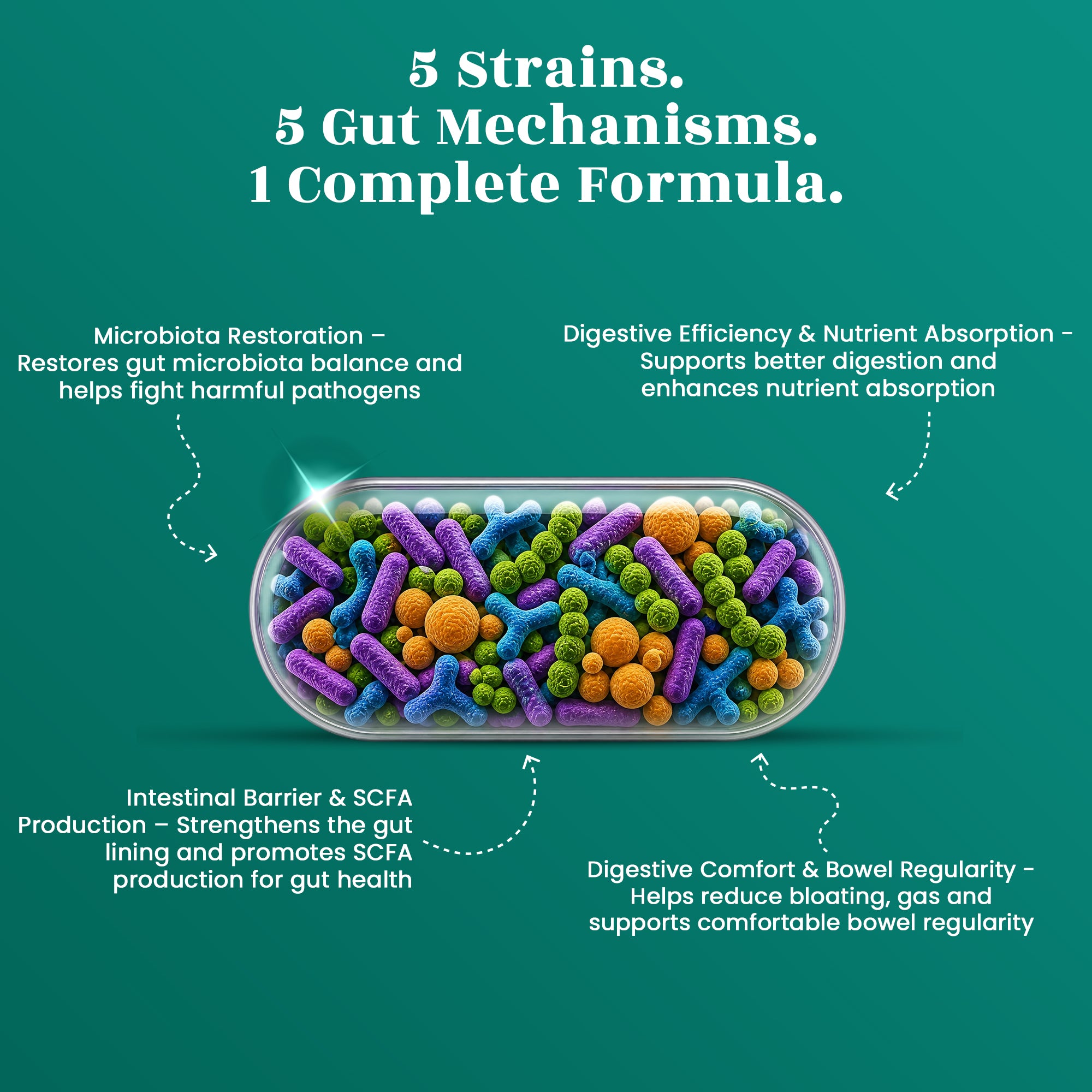 Gut Support Capsules - Advanced Probiotics 85 Billion CFU • Digestive Health • Immunity Support