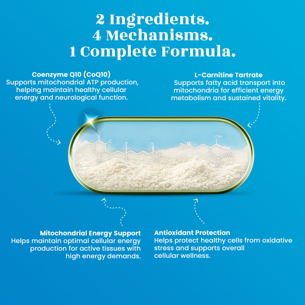MitoMigra Capsules - Advanced Migraine Support • Cellular Energy • Brain Health