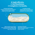 MitoMigra Capsules - Advanced Migraine Support • Cellular Energy • Brain Health