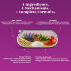 PMOS Support Capsules - Hormonal Balance • Ovarian Health • Women's Wellness