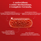 Astaxanthin Chewable Tablets - Joint Comfort • Powerful Antioxidant Defence • Skin & Eye Health