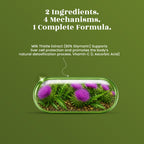 Milk Thistle (Silymarin) Capsules - Liver Detox • Liver Protection • Antioxidant Support