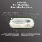 NAC (N-Acetyl L-Cysteine) Capsules - Detox Support • Immunity • Respiratory Health