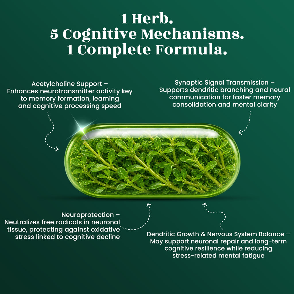 Brahmi Capsules – Memory Support • Brain Health • Mental Focus