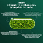 Brahmi Capsules - Memory Support • Brain Health • Mental Focus