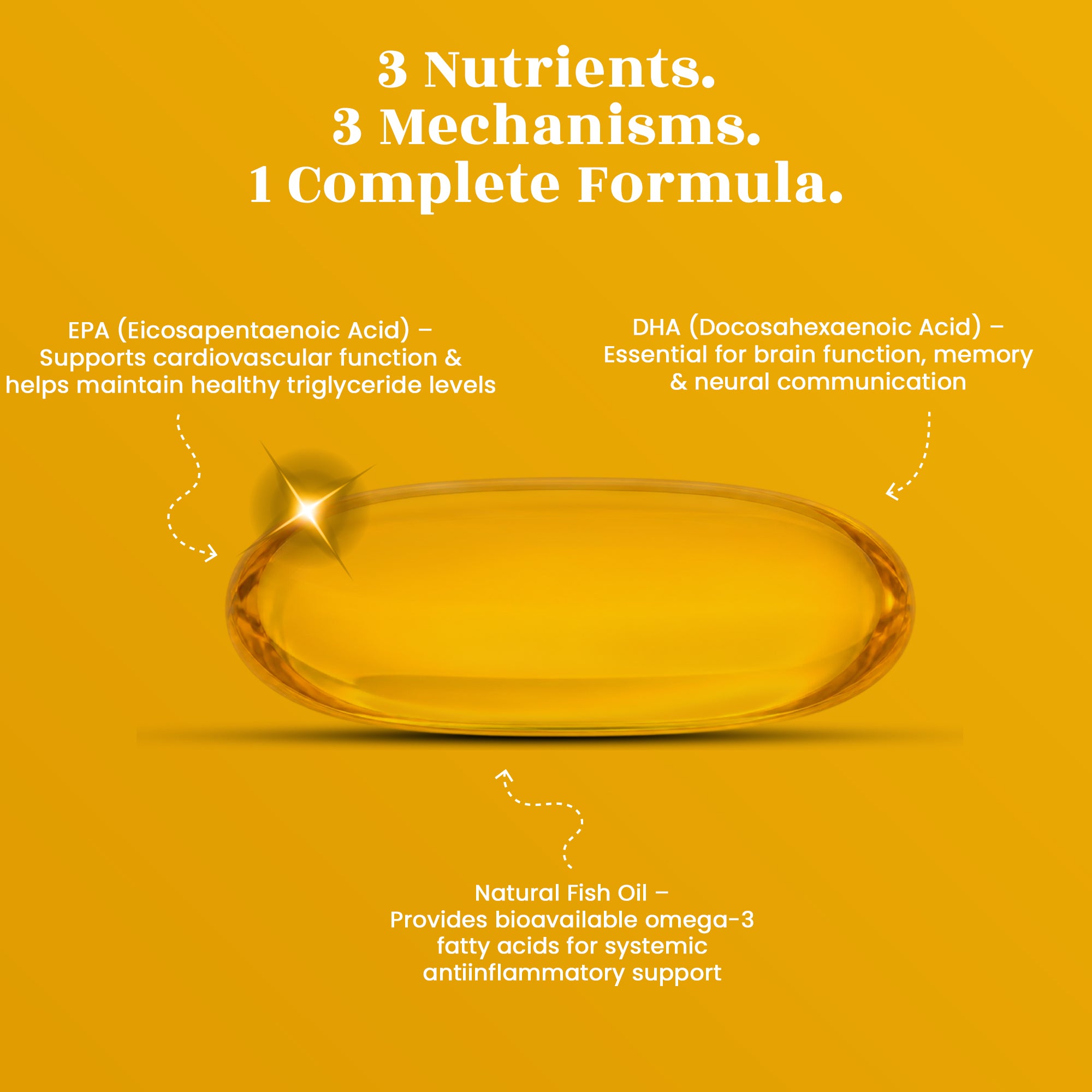 Omega-3 Fish Oil Capsules - Heart Health • Brain Function • Joint Support