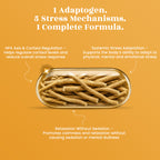 Ashwagandha Capsules - Stress Relief • Better Sleep • Energy & Vitality Support