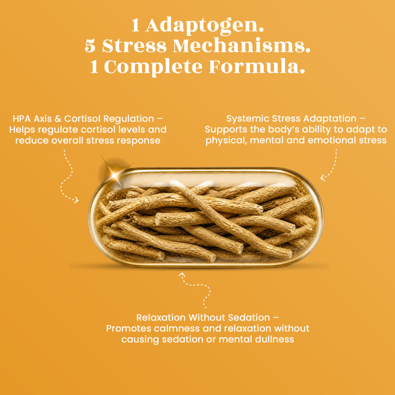 Ashwagandha (KSM-66) Capsules – Stress Relief • Better Sleep • Energy & Vitality Support